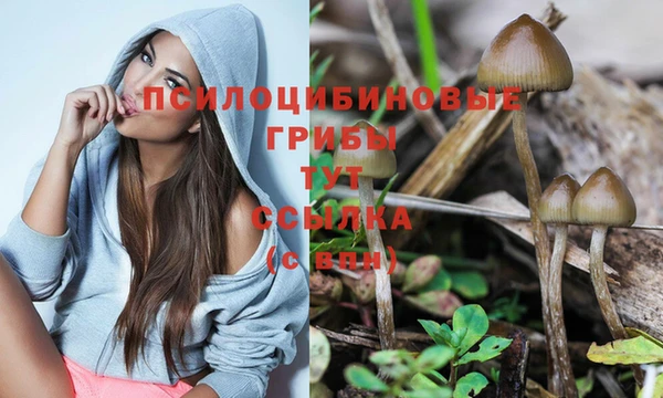 хмурый Абдулино