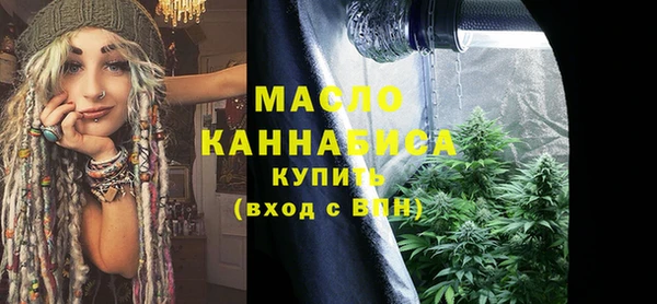 индика Абинск
