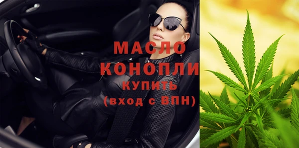 индика Абинск